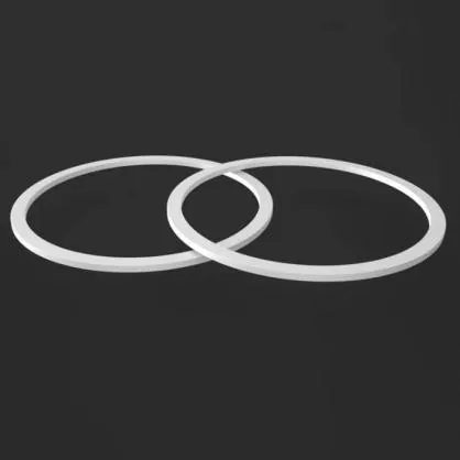 PTFE ब्याक-अप रिंग